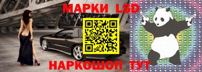 гидропоника Пенза