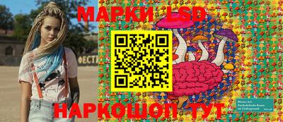 гидропоника Пенза