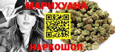 гидропоника Пенза