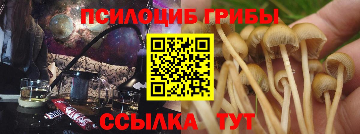 Северодвинск  Галлюциногенные грибы Magic Shrooms  Вход с VPN 